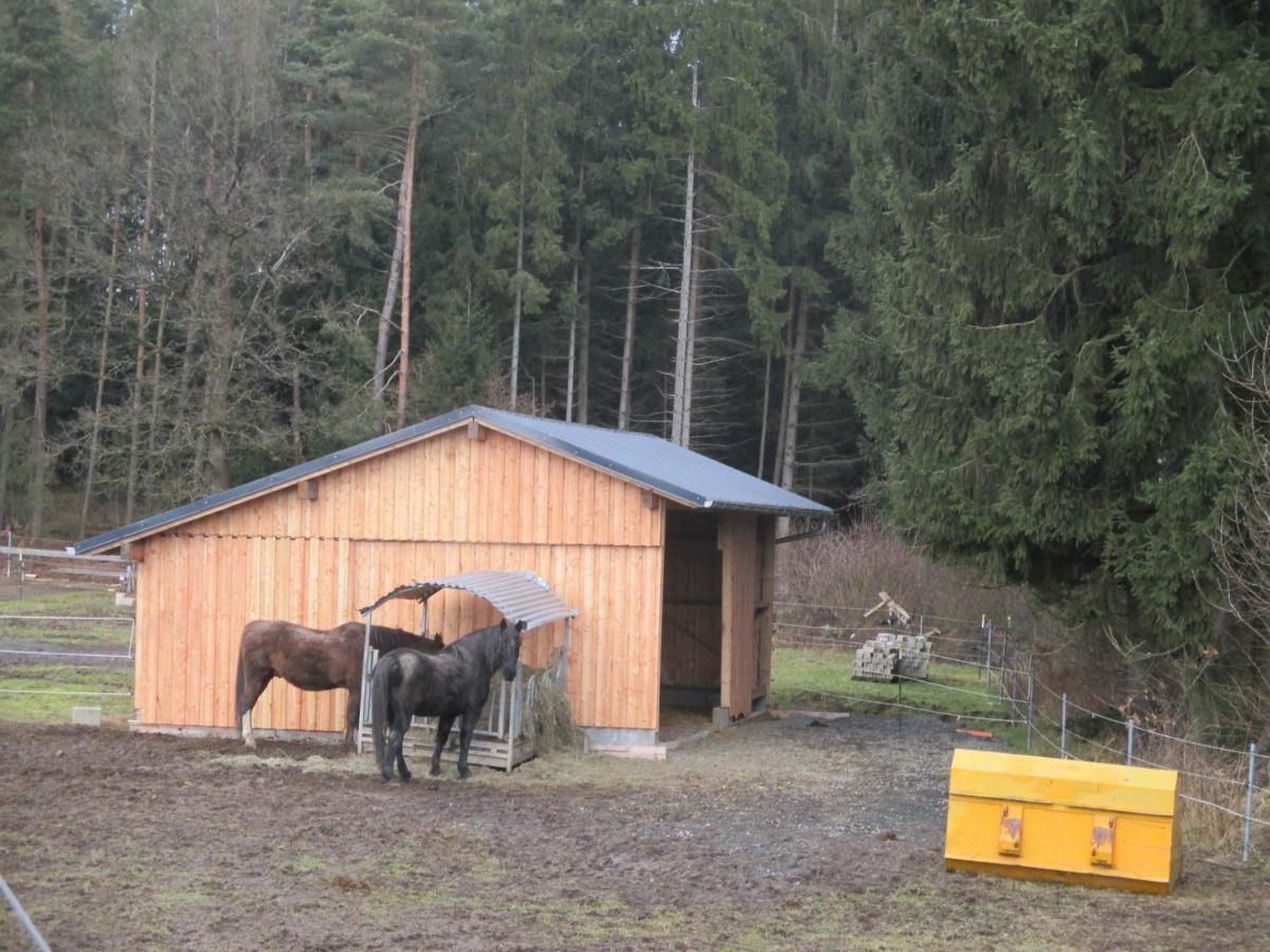 Apartmán Baerenhof Tirschenreuth Exteriér fotografie